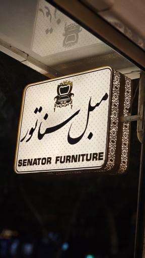 عکس مبل سناتور 