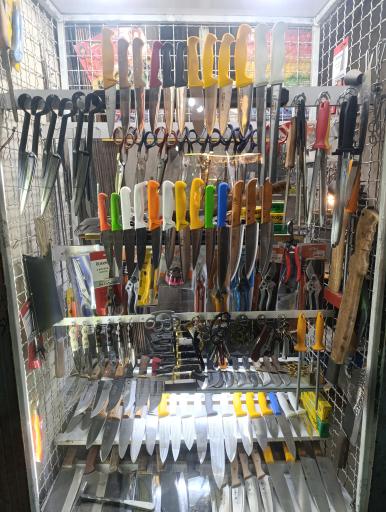 اره سازی و علف زن پهلویی