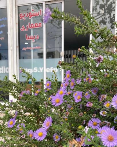 عکس استودیو طراحی و معماری دیسا