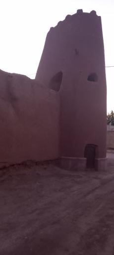 عکس موته