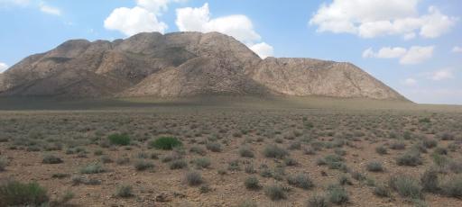 عکس موته