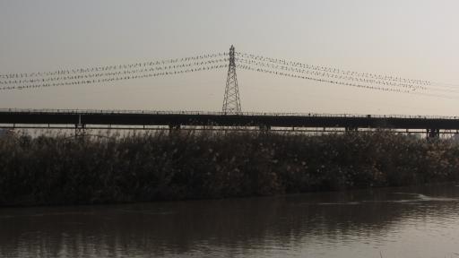 عکس اهواز