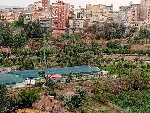 عکس کلانتر باغی