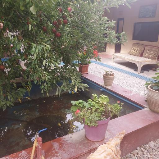 عکس کافه رستوران حس خوب