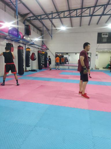 عکس مجموعه ورزشی نامیرا