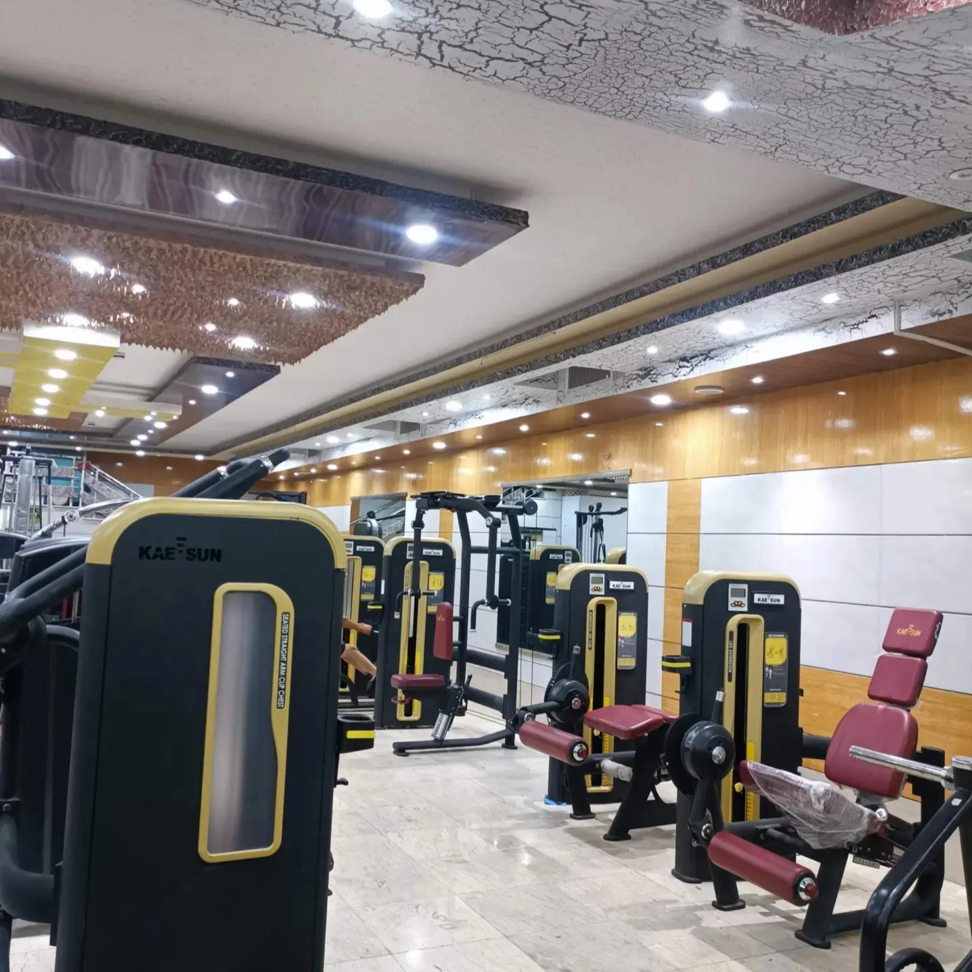 عکس بدنسازی آرامیس