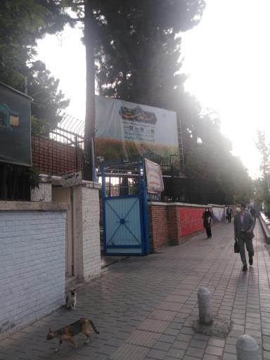 عکس سازمان بسیج دانشجویی کشور