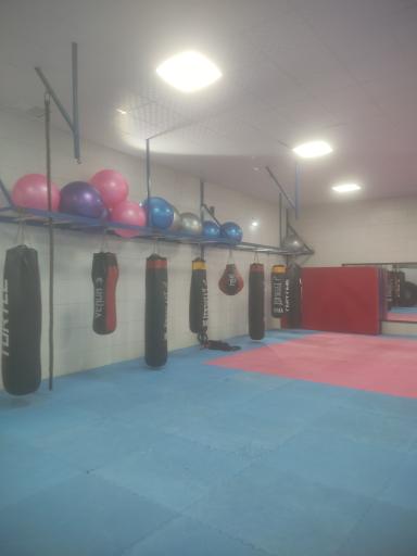 عکس مجموعه ورزشی نامیرا