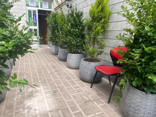 عکس آکادمی زبان آپادانا