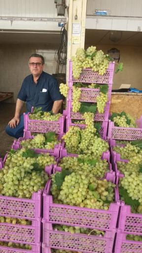 عکس مصطفی حیدری حجره 38