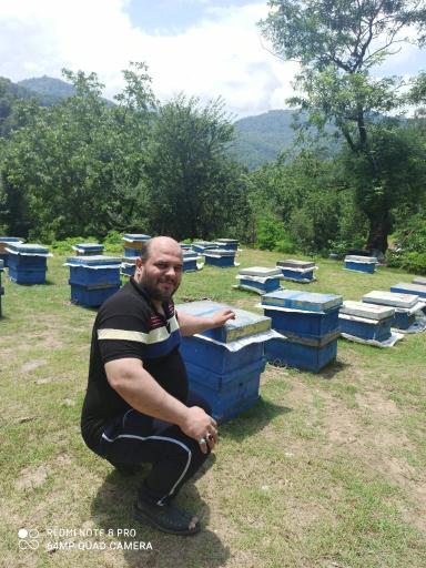 عکس عسل شفا محلاتی نجفی