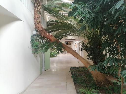 عکس دانشکده کشاورزی