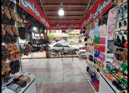 عکس دنیای دمپایی فاریابی 