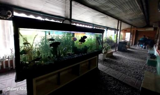 عکس کافه رستوران سنتی دانشجو