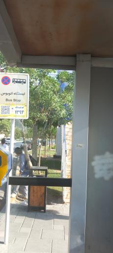 عکس  انتهای سید رضی