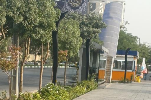 عکس  انتهای سید رضی