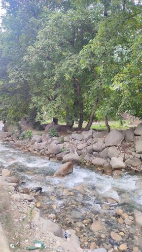 عکس پارک جنگلی رودبارک