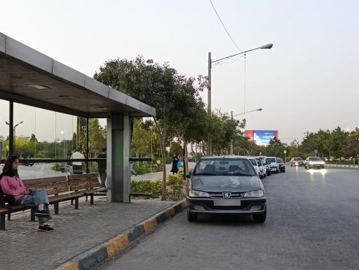 عکس  انتهای سید رضی