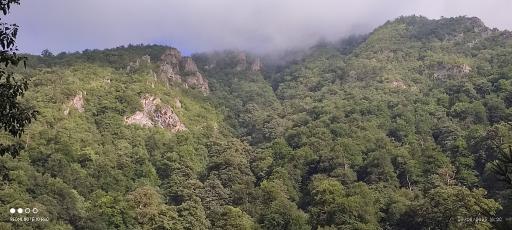 عکس پارک جنگلی رودبارک