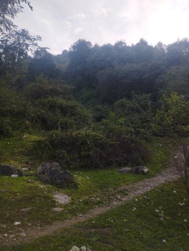 عکس پارک جنگلی رودبارک