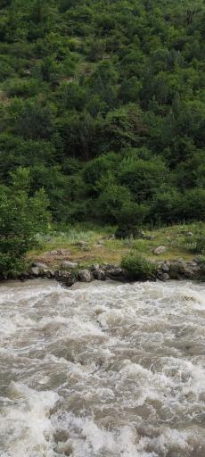 عکس پارک جنگلی رودبارک