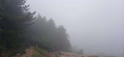 عکس پارک جنگلی رودبارک