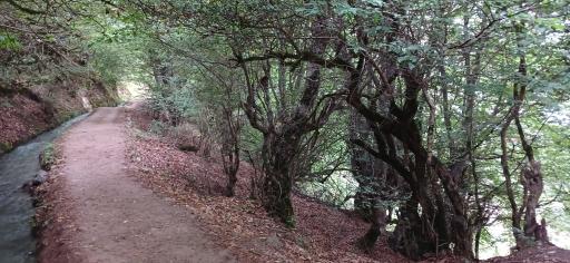 عکس پارک جنگلی رودبارک