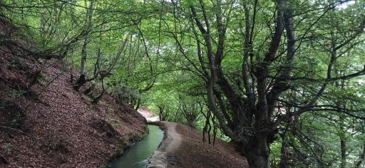 عکس پارک جنگلی رودبارک