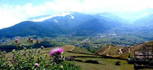 عکس پارک جنگلی رودبارک