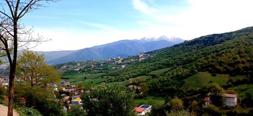 عکس پارک جنگلی رودبارک