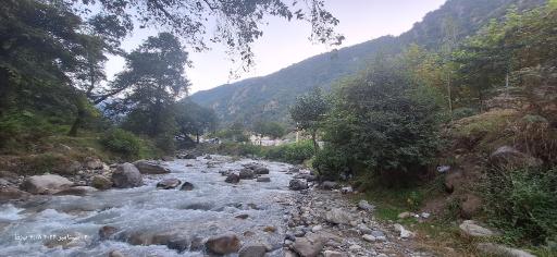 عکس پارک جنگلی رودبارک