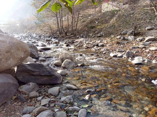 عکس پارک جنگلی رودبارک