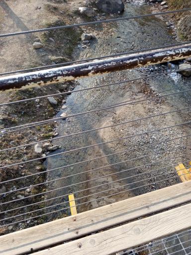 عکس پارک جنگلی رودبارک