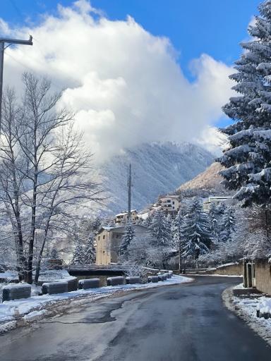 عکس پارک جنگلی رودبارک