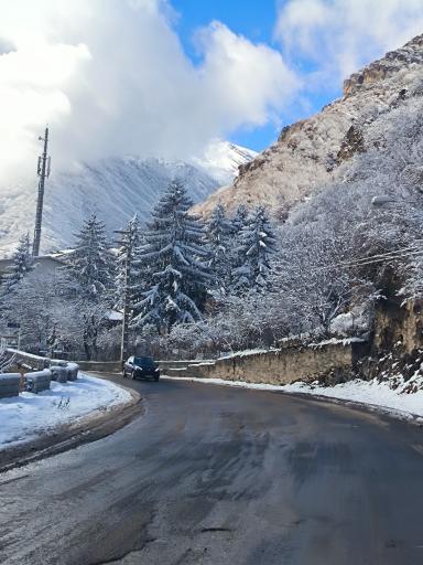 عکس پارک جنگلی رودبارک