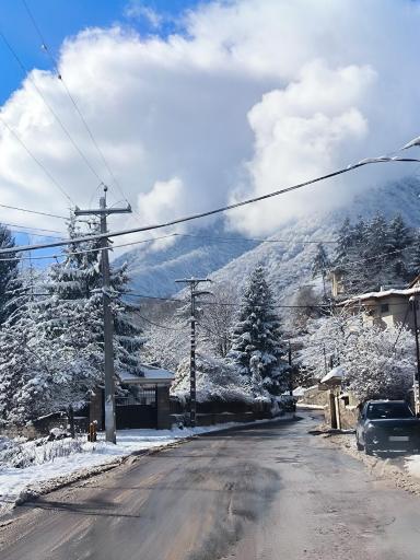 عکس پارک جنگلی رودبارک