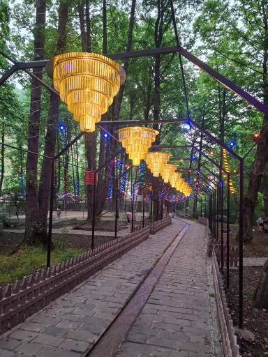 عکس پارک جنگلی رودبارک