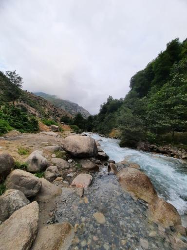 عکس پارک جنگلی رودبارک