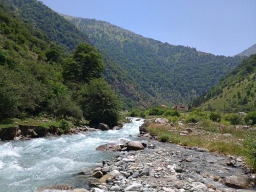 عکس پارک جنگلی رودبارک