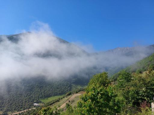 عکس پارک جنگلی رودبارک