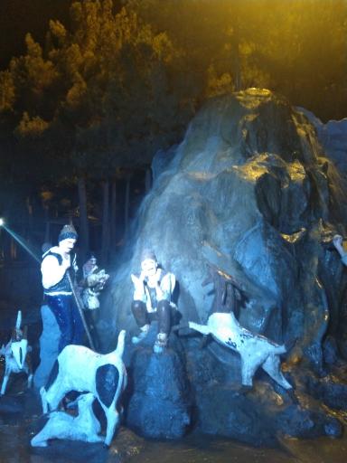 عکس میدان کوهنورد (کاج)