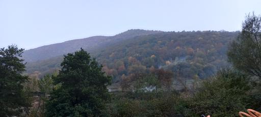 عکس پارک جنگلی رودبارک