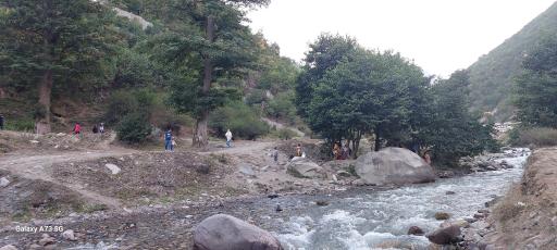 عکس پارک جنگلی رودبارک