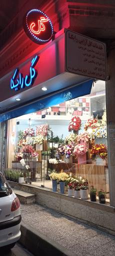 عکس گلفروشی رایکا