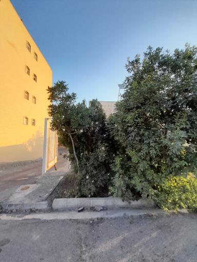 عکس مجتمع نفت 