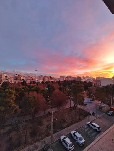 عکس بوستان شاهین