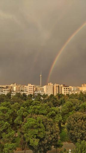 عکس بوستان شاهین