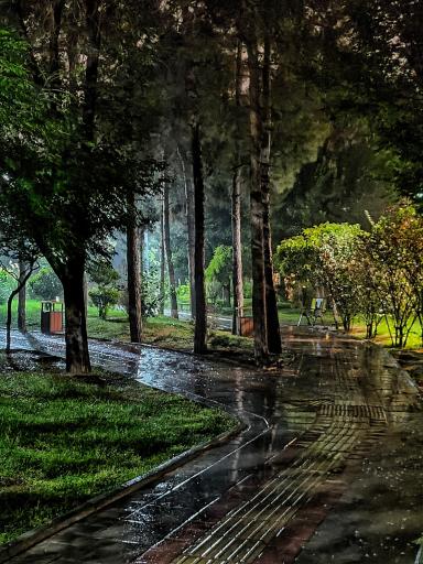 عکس بوستان شاهین