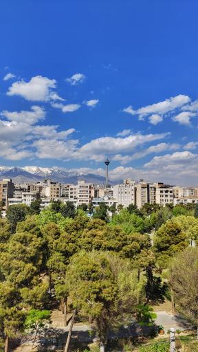 عکس بوستان شاهین