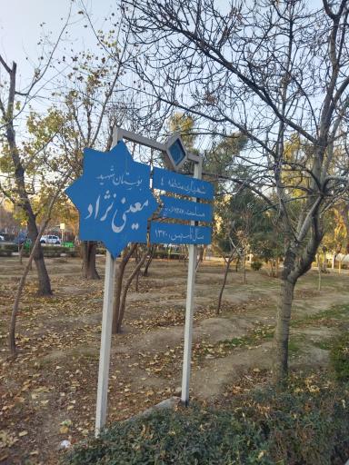 عکس بوستان معین نژاد